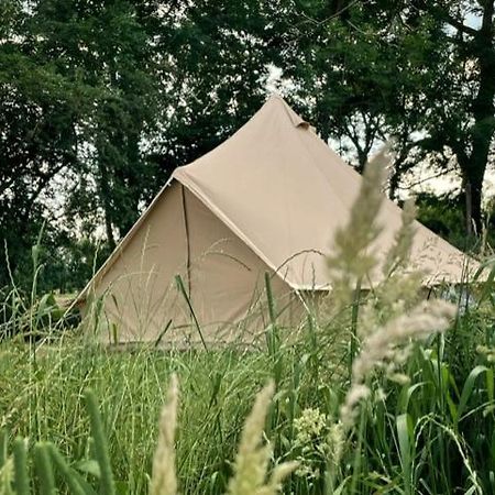 מלון דיינזה 'T Schaaphof Tent En Ontbijt מראה חיצוני תמונה